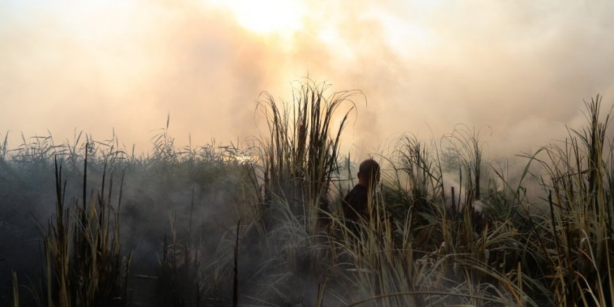 Sazlık alandaki yangın ekipleri harekete geçirdi