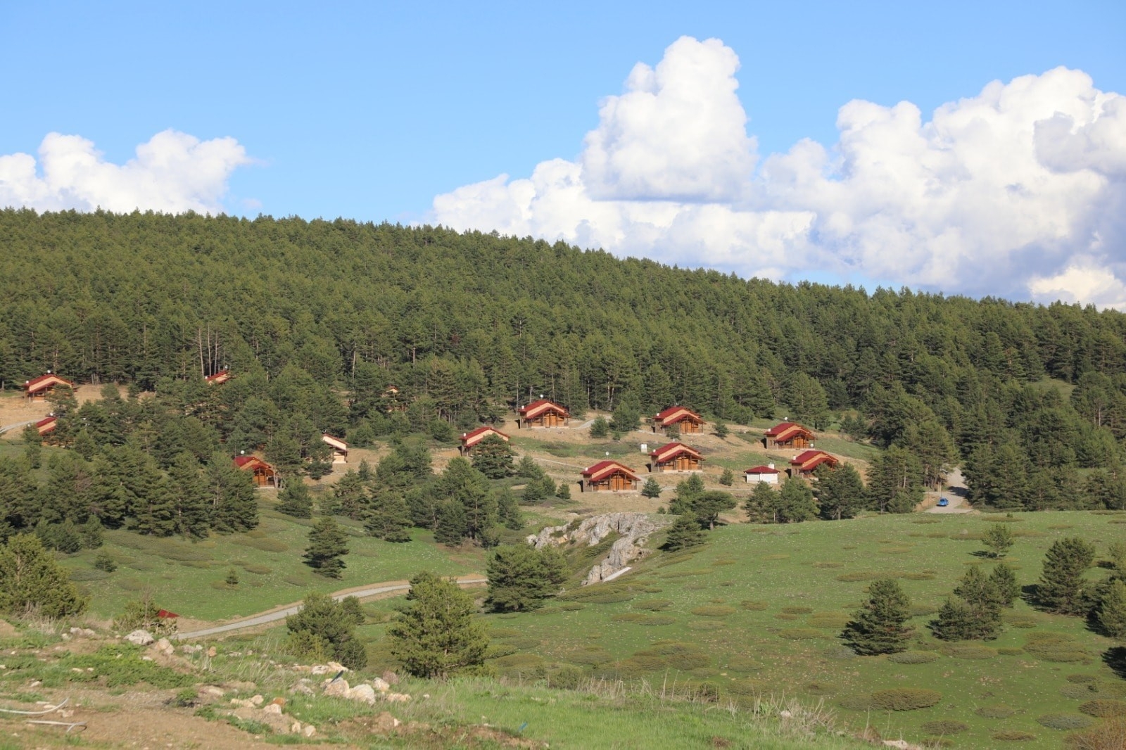 Erzincan’da ormanlık alanlara girişler 15 Eylül’e kadar yasaklandı
