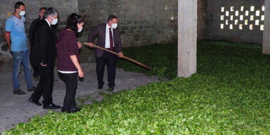 Çaykur, Rekor Yılını Yaşıyor