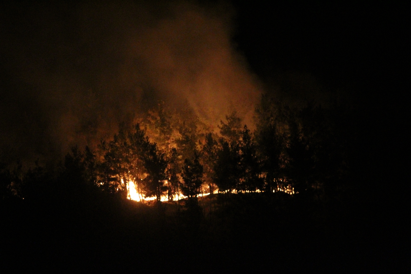 Manavgat’ta Otellere Yakın Noktada Yangın Çıktı, Silahını Alan Nöbete Koştu