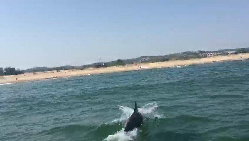 Şile’de Yunus İle Vatandaşın Yüzleri Gülümseten Oyunu