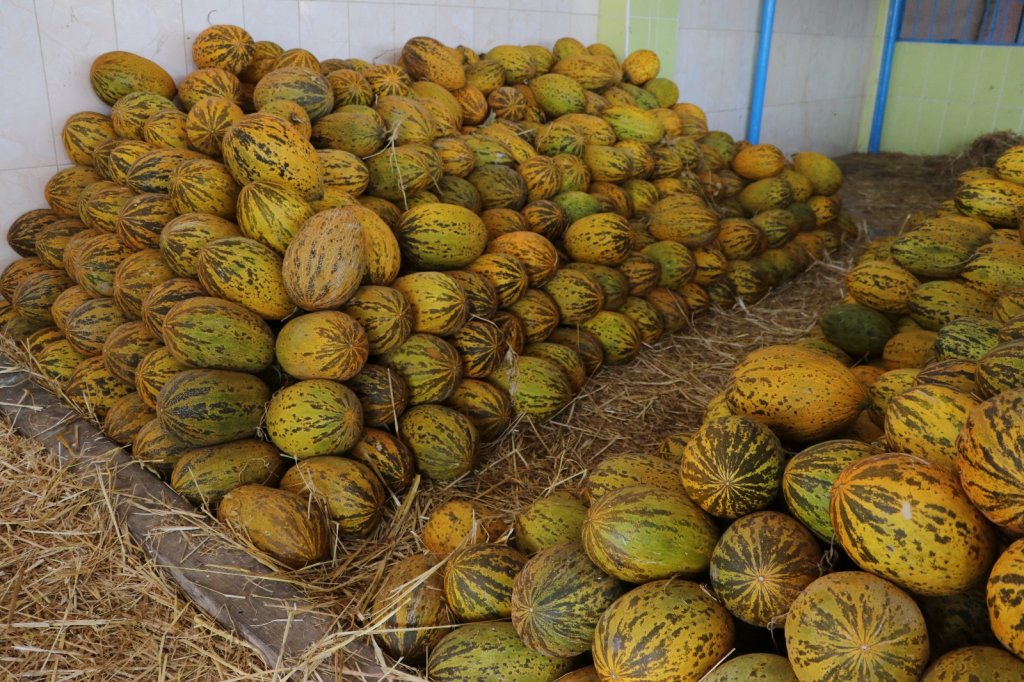 İstanbul’da En Çok Ses Ve Görüntü Sistemi Pahalandı, Kavun Ucuzladı