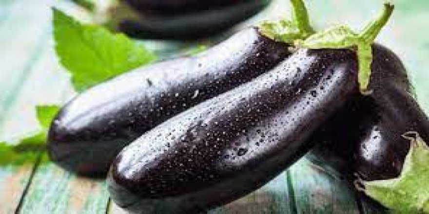 Temmuz ayında fiyatı en fazla artan ürün yurt içi turlar oldu