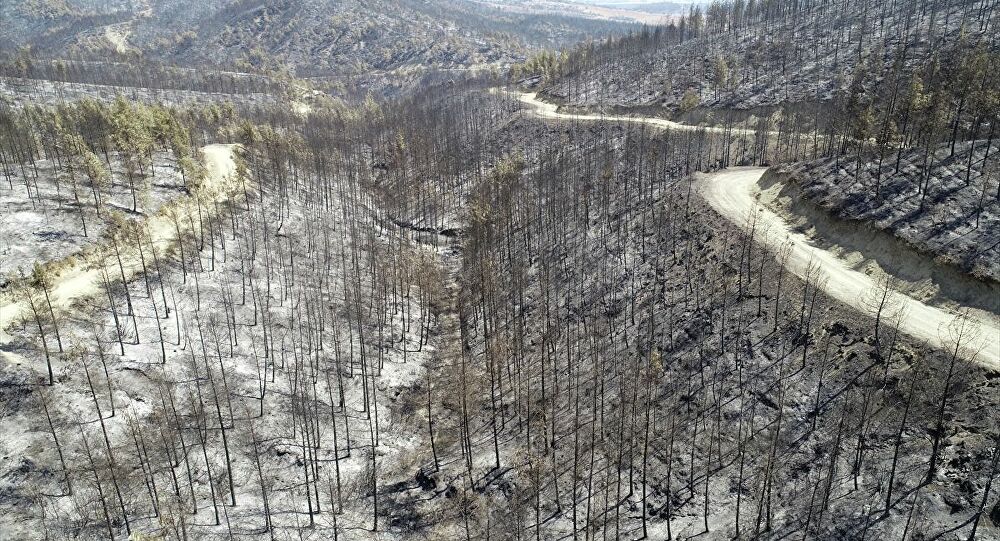 İklim Krizi Yangınların Söndürülmesini Zorlaştırıyor