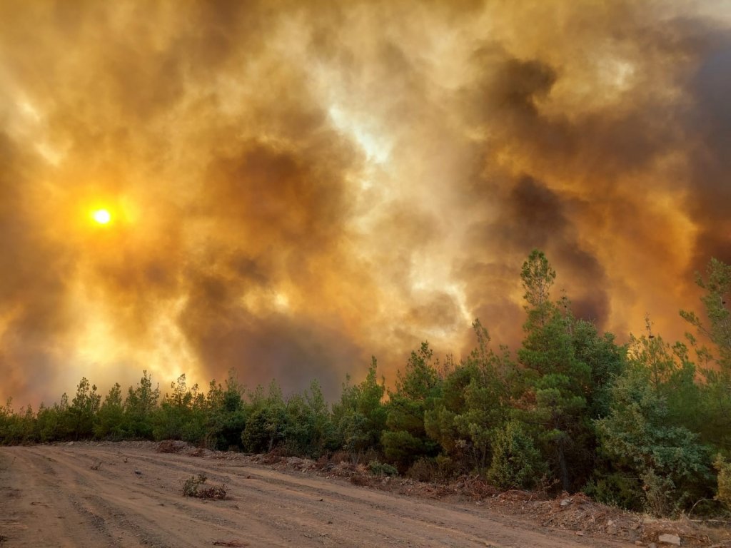 “Help Turkey" Dezenformasyonu Deşifre Oldu