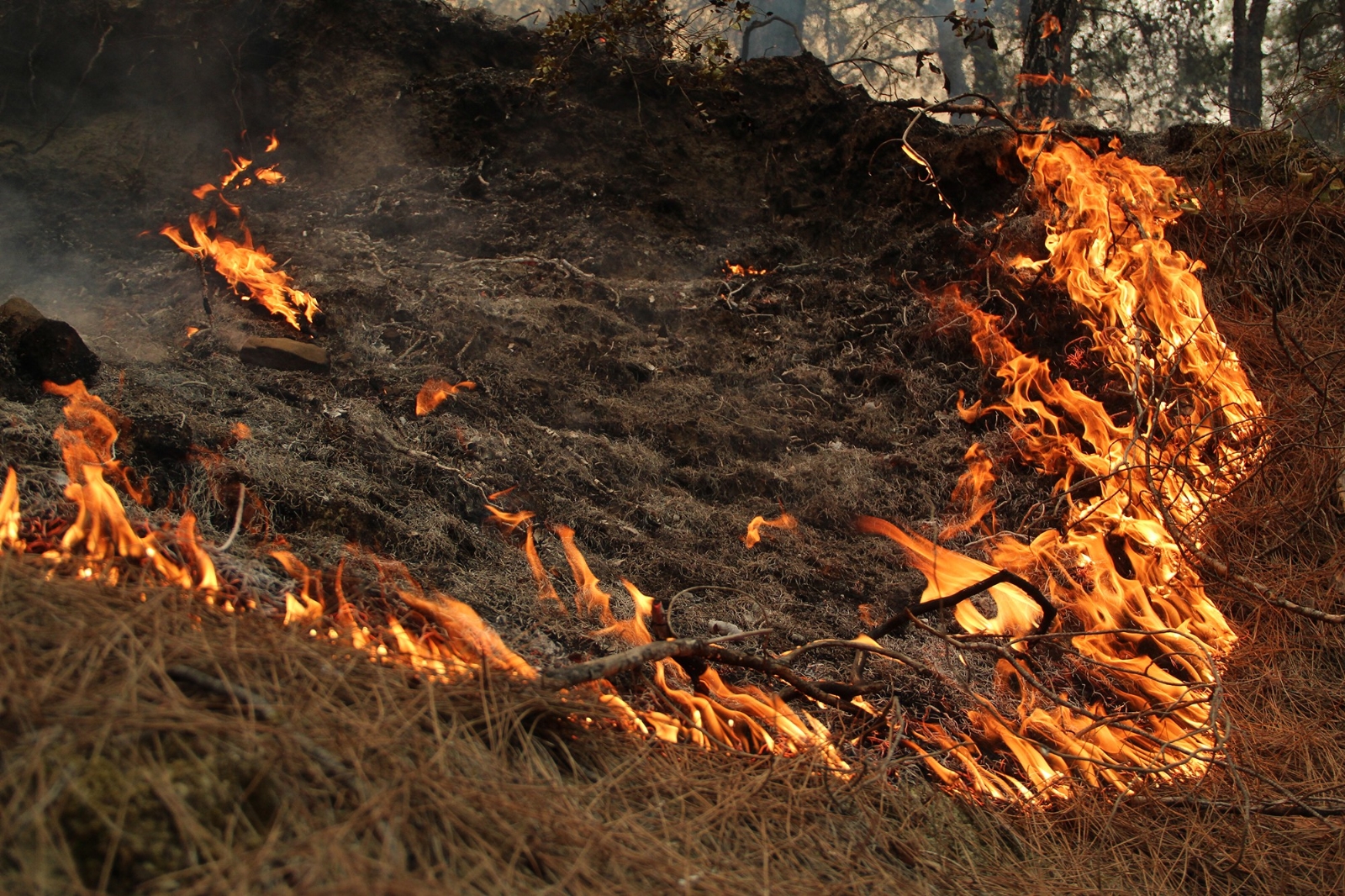 Yoğun Duman Ve Alevlerin Arasında Mücadele Ediyorlar