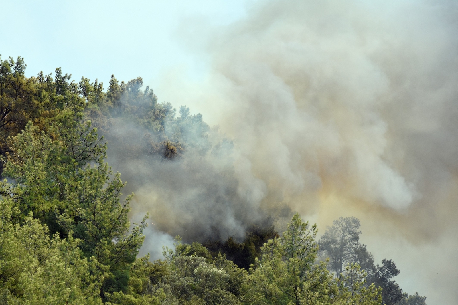 Dalaman’daki yangın kontrol altında