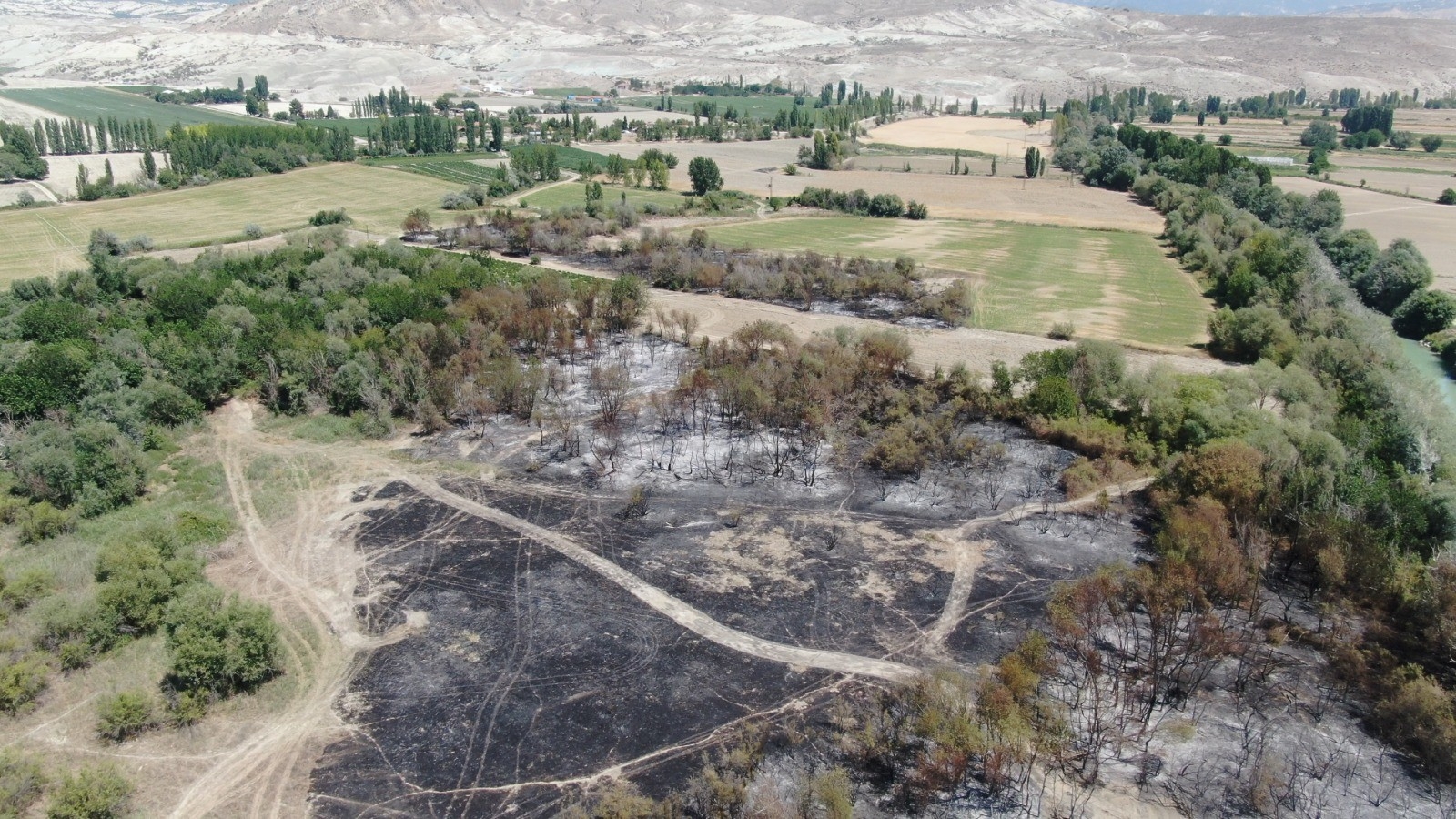 Nallıhan Belediye Başkanı Öntaş: “Kuşlarımızın yaşadığı bölgeye yangın sıçramadan önledik”