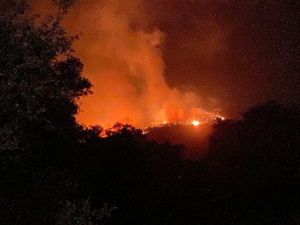 Kıyıkışlacık Gürçamlar Bölgesindeki Yangın Kazıklı’ya Doğru İlerliyor
