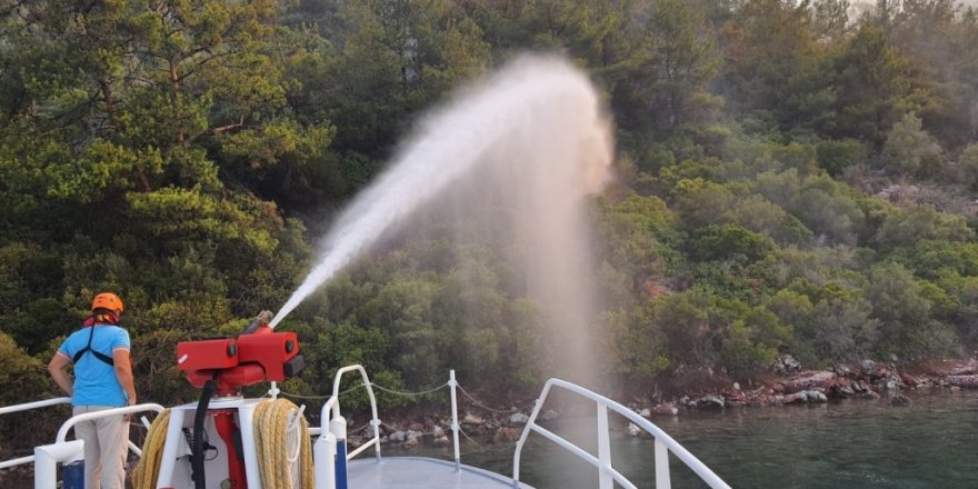 Ulaştırma ve Altyapı Bakanlığı, hızlı tahlisiye botu ile yangına denizden müdahale etti