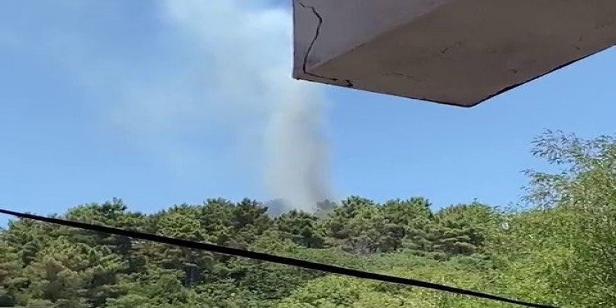 İstanbul Valiliği’nden Beykoz’daki orman yangınına ilişkin açıklama