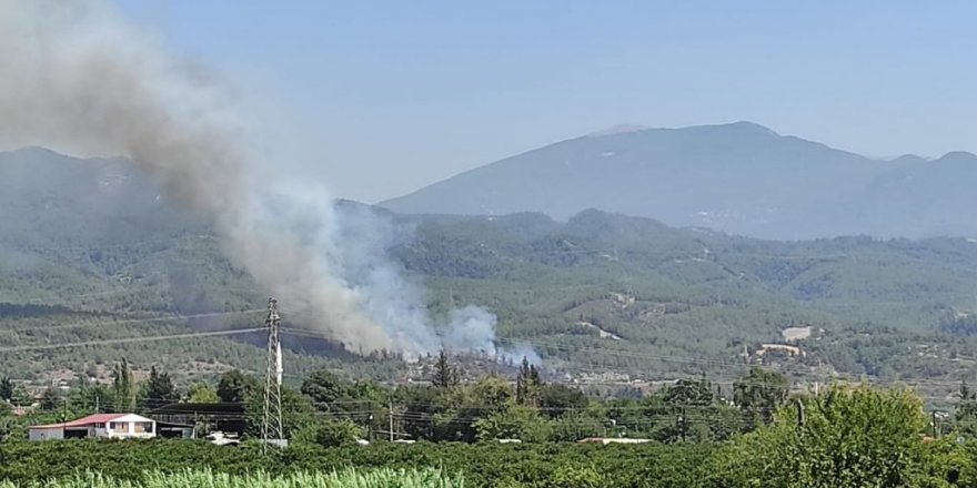 Hatay’da orman yangını