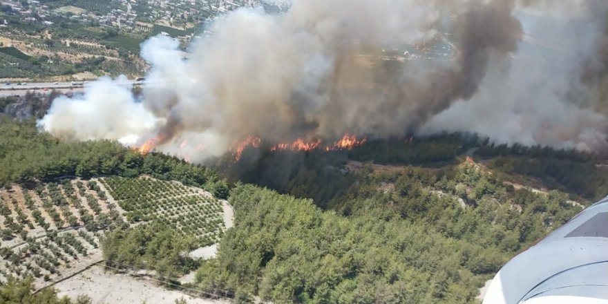 Hatay’da orman yangınına müdahale ediliyor