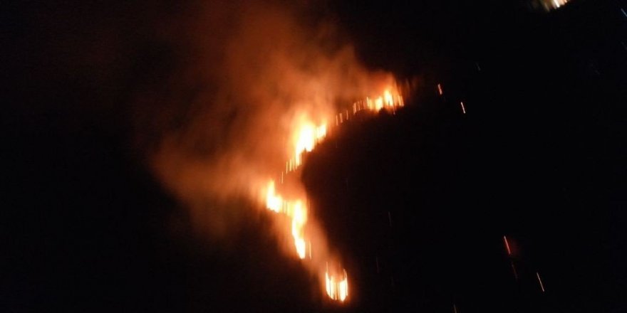 Didim’deki yangın Akbük’e sıçramadan kontrol altına alındı