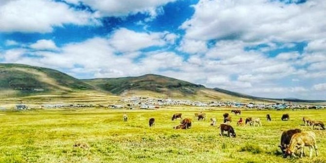 Ardahan’da 4 Köy Karantinaya Alındı