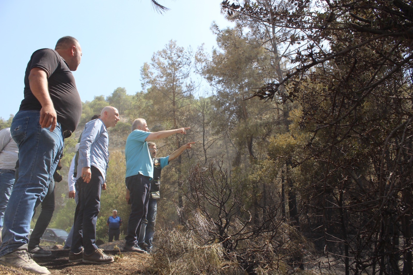Sarayköy’de 1 Dönüm Ormanlık Alan Zarar Gördü