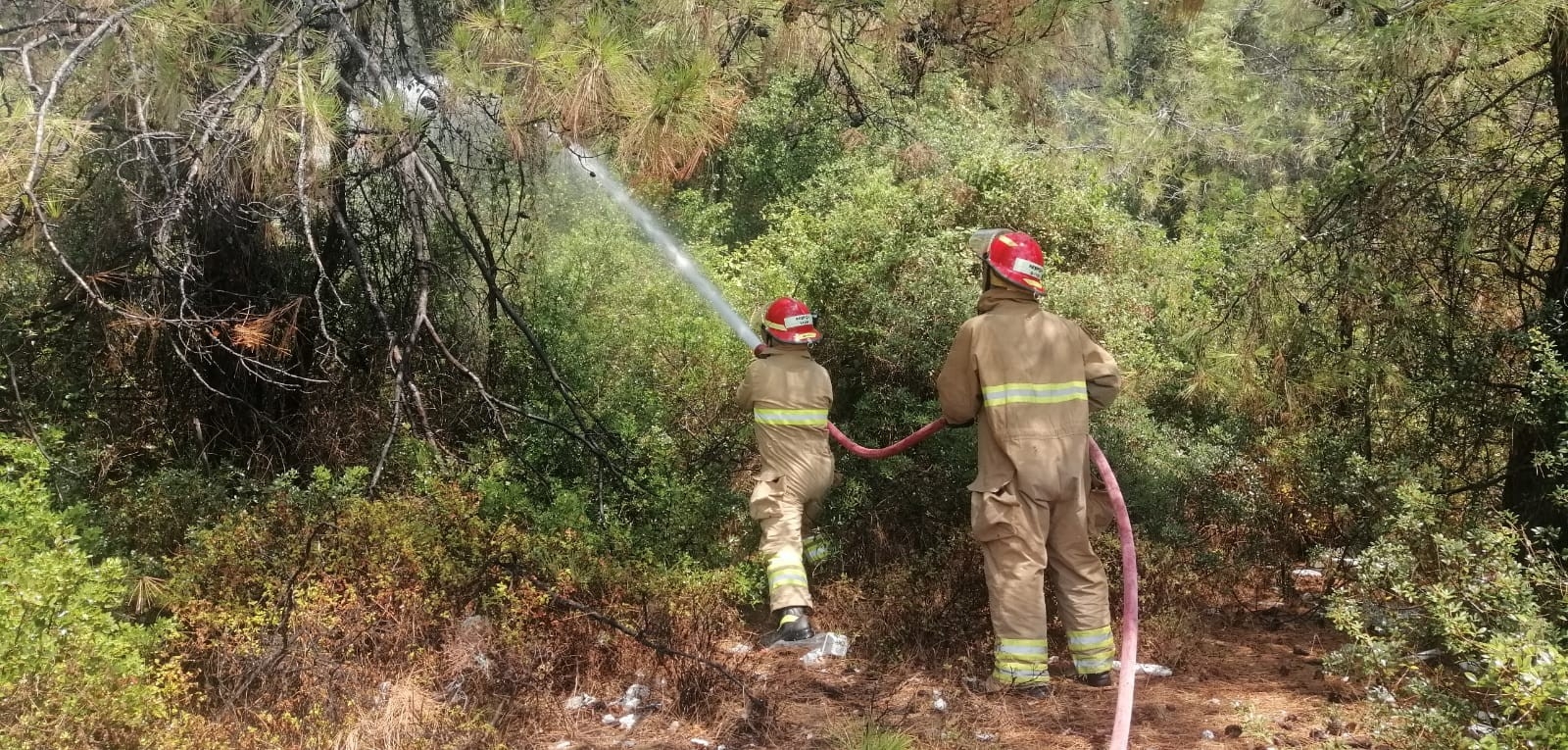 MSB Paylaştı: "Çıkarma Gemileri, Ulaşım Olmayan Bölgelerde Denizden Yangınlara Müdahale Ediyor"