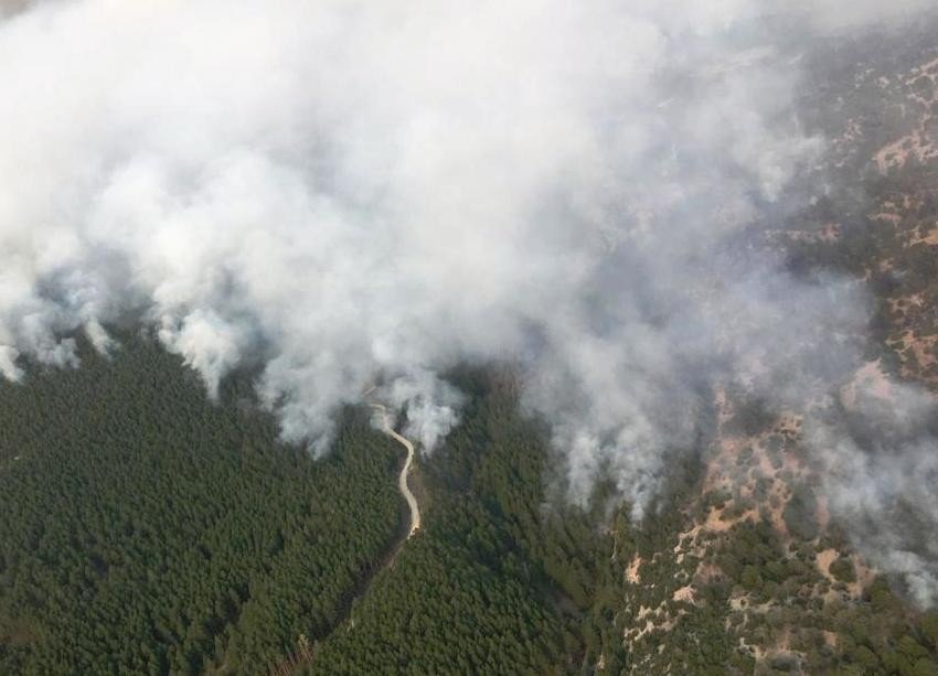 Muğla’da Yangınla Mücadele Hız Kesmeden Sürüyor