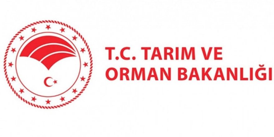 Bakanlıktan sosyal medya fenomenine suç duyurusu