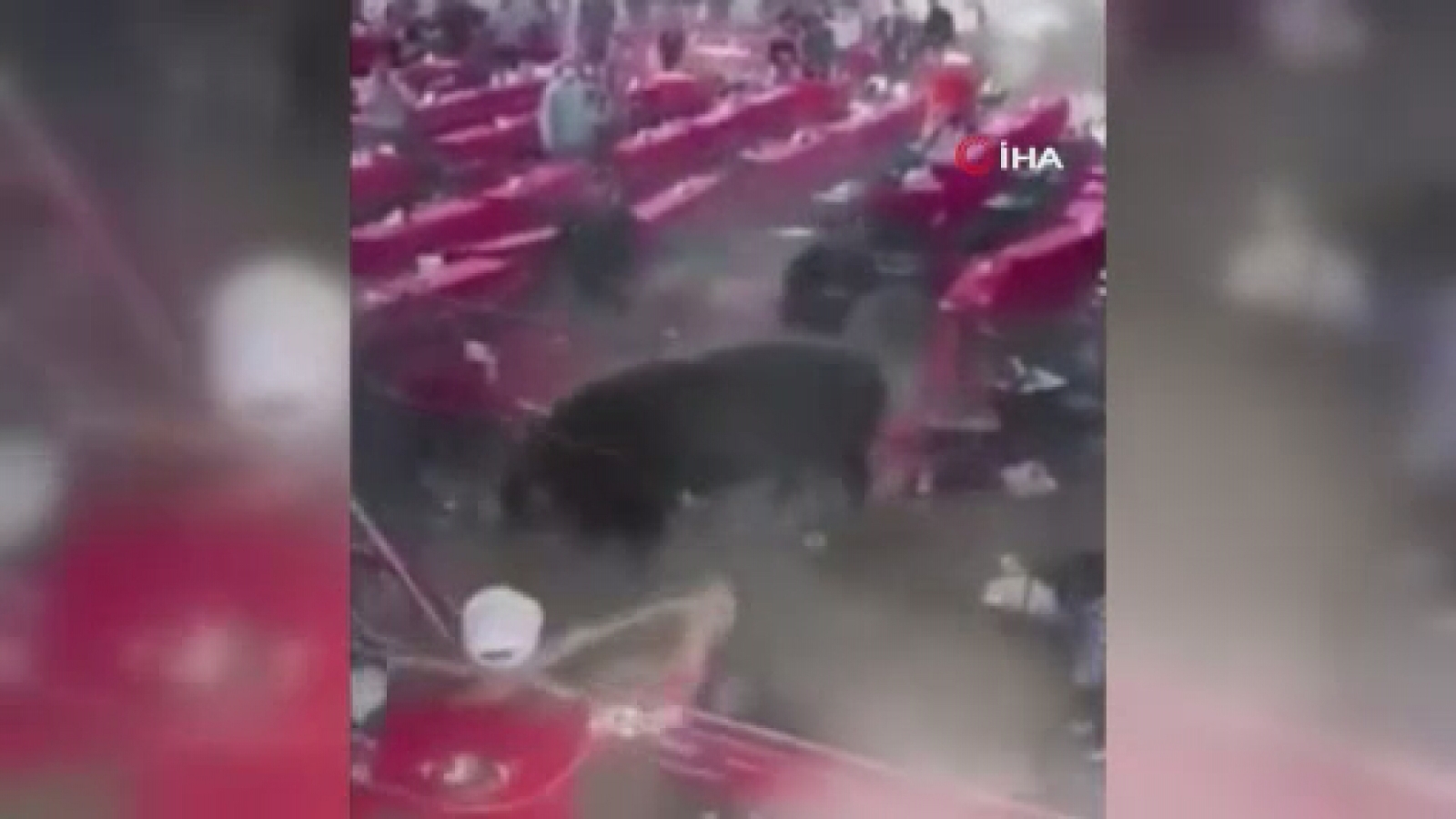 Meksika’da rodeo sırasında boğa seyircilere saldırdı: 10 yaralı