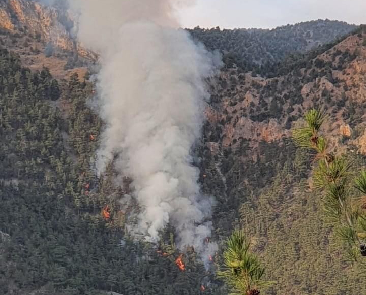 Adana’nın Saimbeyli ilçesinde orman yangını