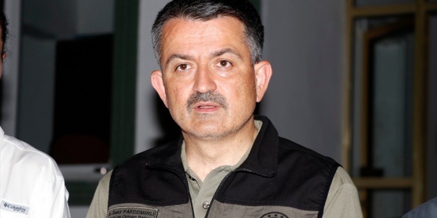 Bakan Pakdemirli duyurdu: 197 Orman Yangınının 185'i Kontrol Altına Alındı