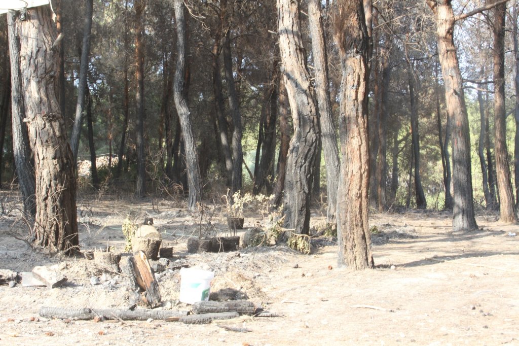 Manavgat Merkezdeki İlk Yangın Böyle Başladı