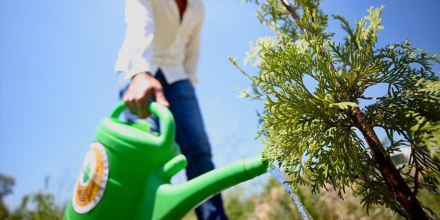 Türkiye'de 2003'ten Bu Yana 5,4 Milyar Fidan Toprakla Buluşturuldu