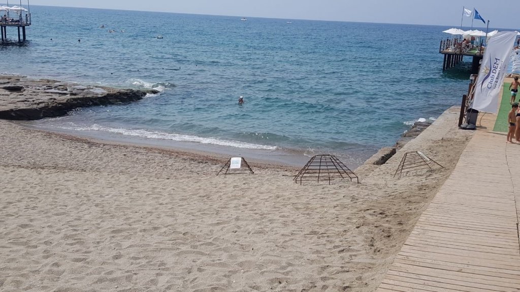 Alanya’da Caretta Carettalar Denizle Buluştu