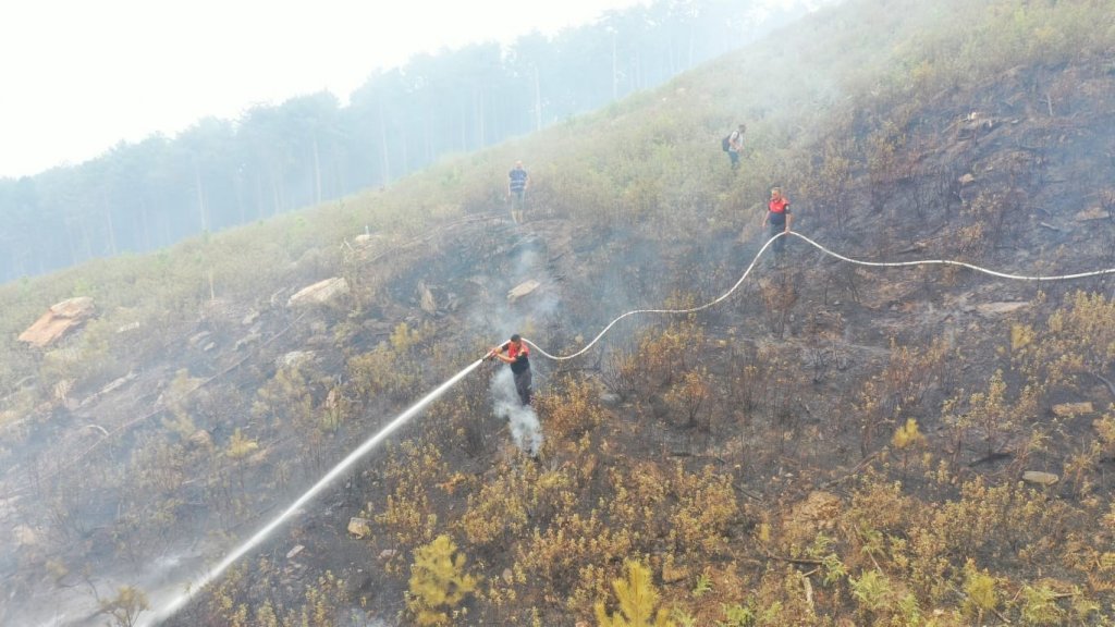 Büyükşehir İtfaiyesi Orman Yangınları İle Mücadele Ediyor