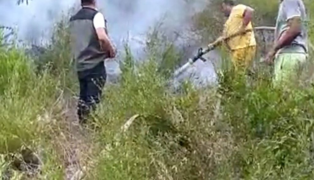 Andırın’da Orman Yangını