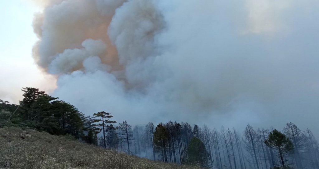 Muğla’da Dört İlçede Yangınlar Devam Ediyor
