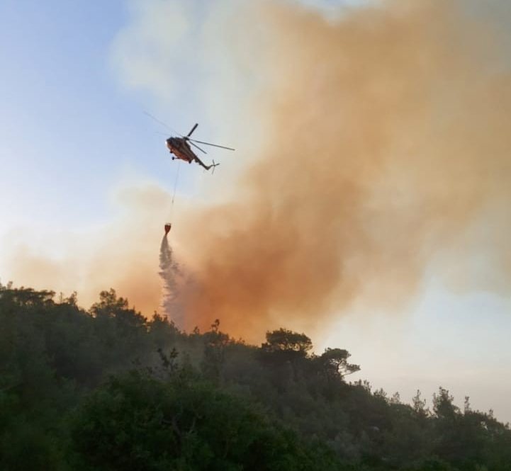 Ezine’de Orman Yangını Çıktı