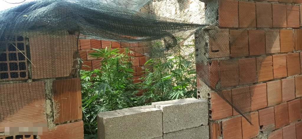 Etrafını Duvarla Çevirdiği Alanı Kenevir Bahçesi Yapmış