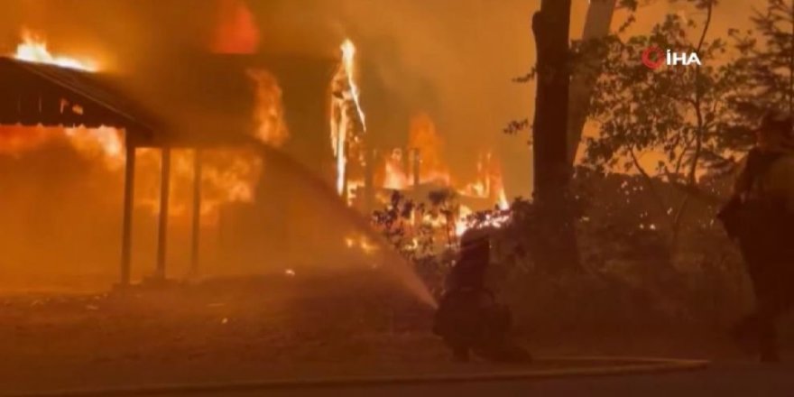 Dünya orman yangınları ile mücadele ediyor