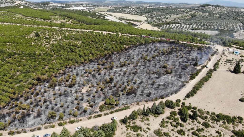 Saruhanlı’daki Orman Yangını Vatandaş Ve Ekiplerin İş Birliği İle Söndürüldü