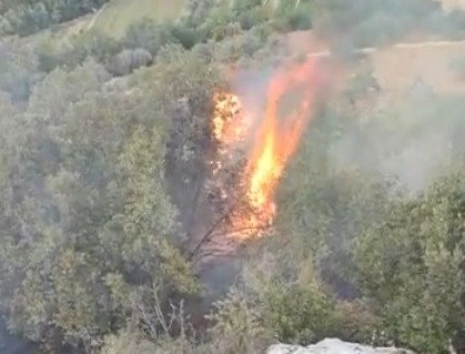 Gaziantep’te Orman Yangını