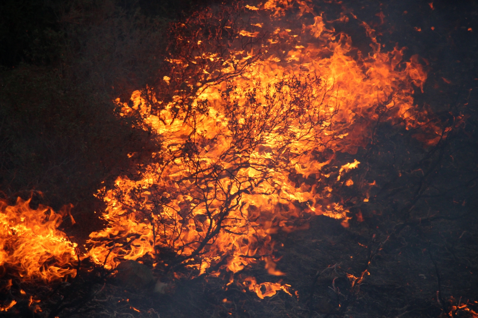 Gökbel Dağları Alev Alev Yanıyor