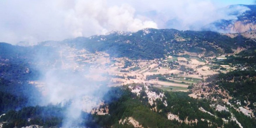 Sarıyer’de ormanlık alanda yangın çıktı