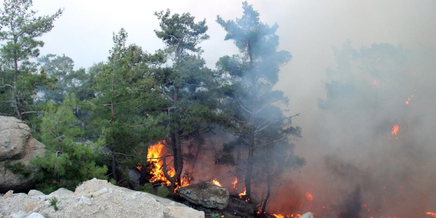 39 helikopter 6 uçakla müdahale devam ediyor