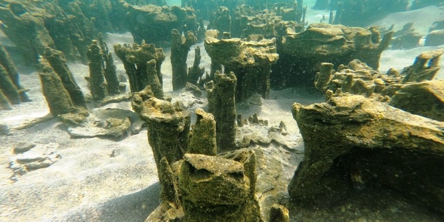 Van Gölü’nde yenisi  keşfedildi