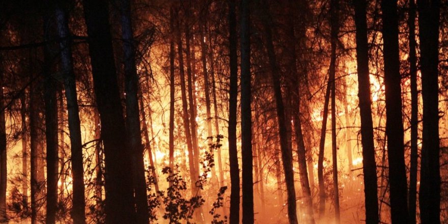 Muğla’da ek yangın tedbirleri