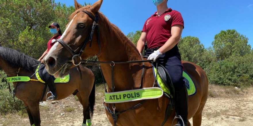 Atlı polisler Çavuşbaşı Ormanı’nda denetim yaptı