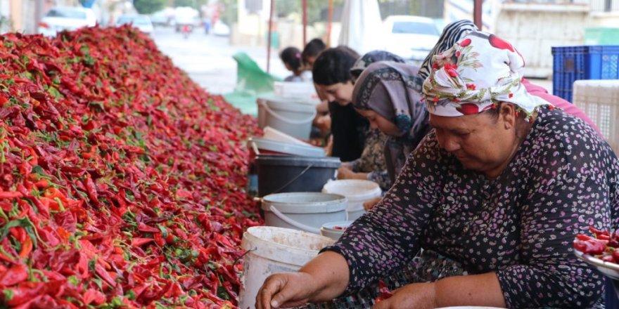 Kadınların ’en acı’ mesaisi