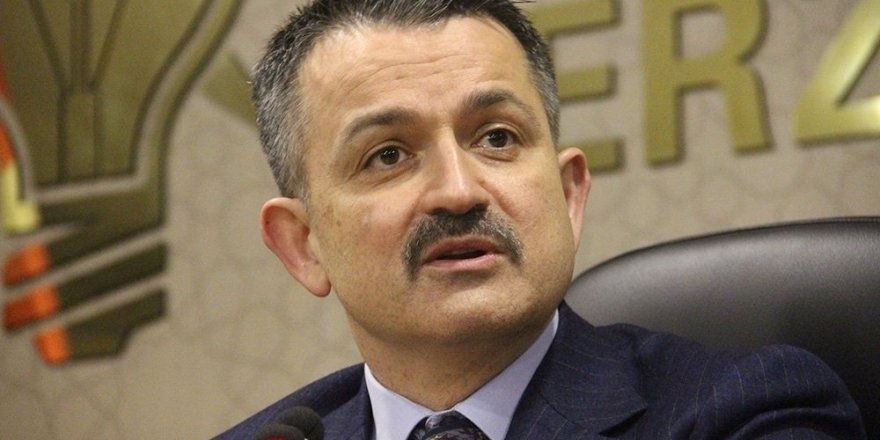 Pakdemirli: “Şu Anda Yerleşim Yerlerini Tehdit Eden Bir Yangımız Yok”