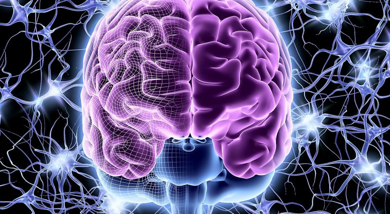 NÖROPATOLOJİK DURUMLAR, BEYİNDEKİ ÖDÜL SİSTEMİNİ BOZUP ÇALIŞMA İSTEĞİNİ AZALTABİLİYOR