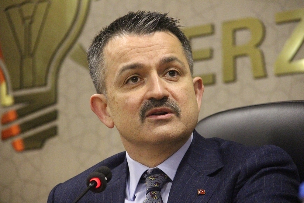 Tarım Ve Orman Bakanı Pakdemirli: “Aydın Nazilli-bozdoğan Yangını Kontrol Altına Alındı”