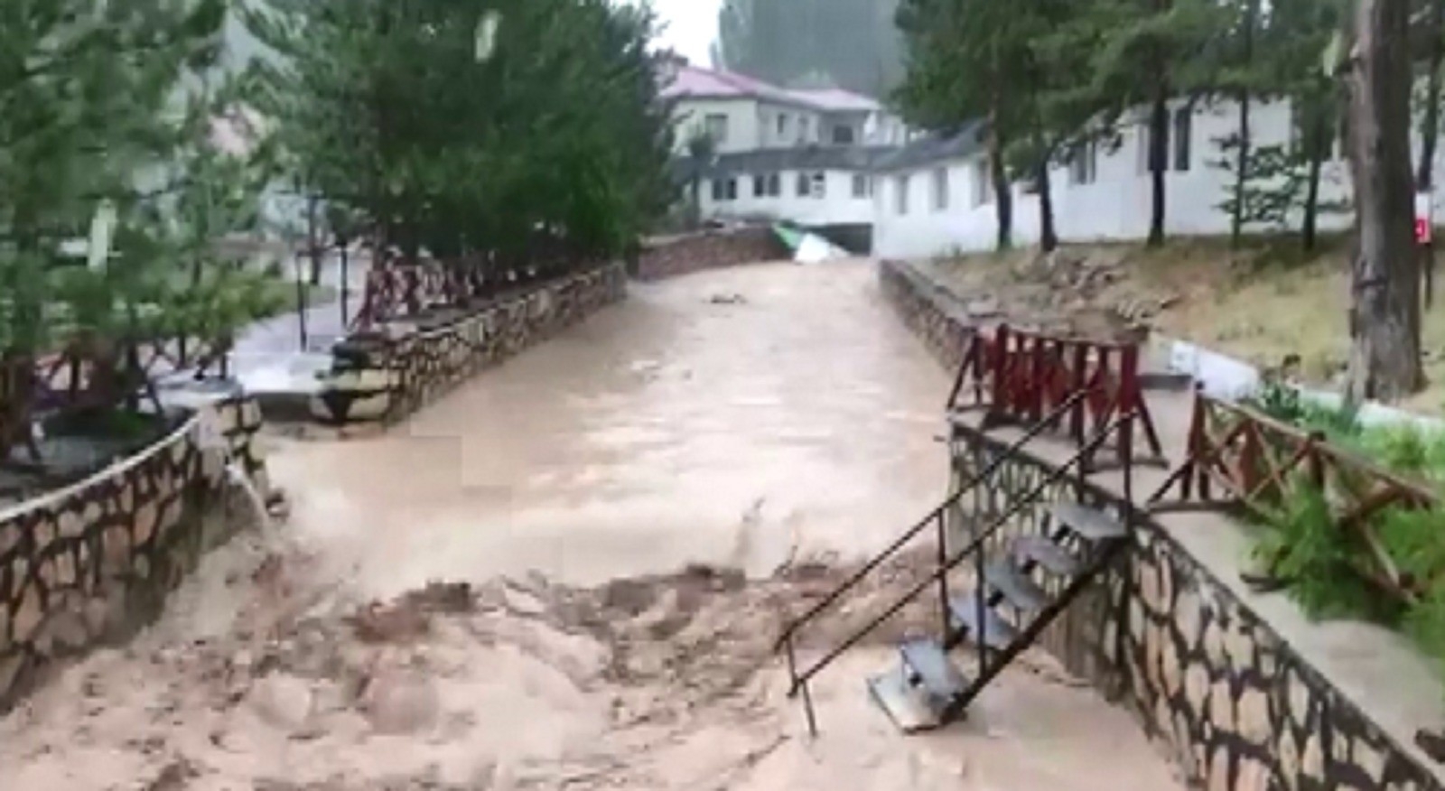 Dünyaca Ünlü Doktor Balıklar Sele Teslim Oldu