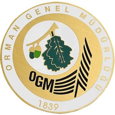 OGM: “Ormanspor İçin İddia Edilen 40 Milyon TL Rakamı Gerçeği Yansıtmamaktadır”