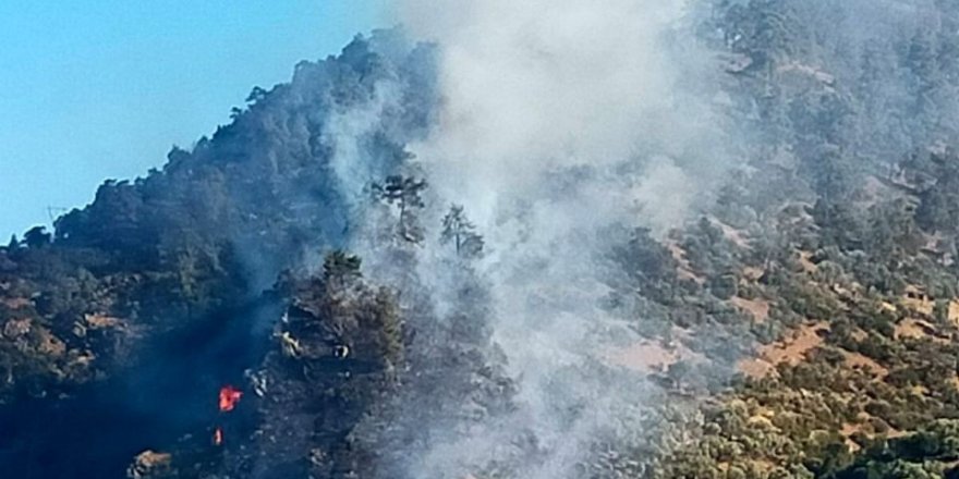 Yangın Söndürme Çalışması Sonrası Bozdoğan yangını kontrol altına alındı